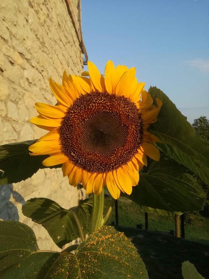 Bed and Breakfast Casale Monte Valestra Bebbio Exterior foto