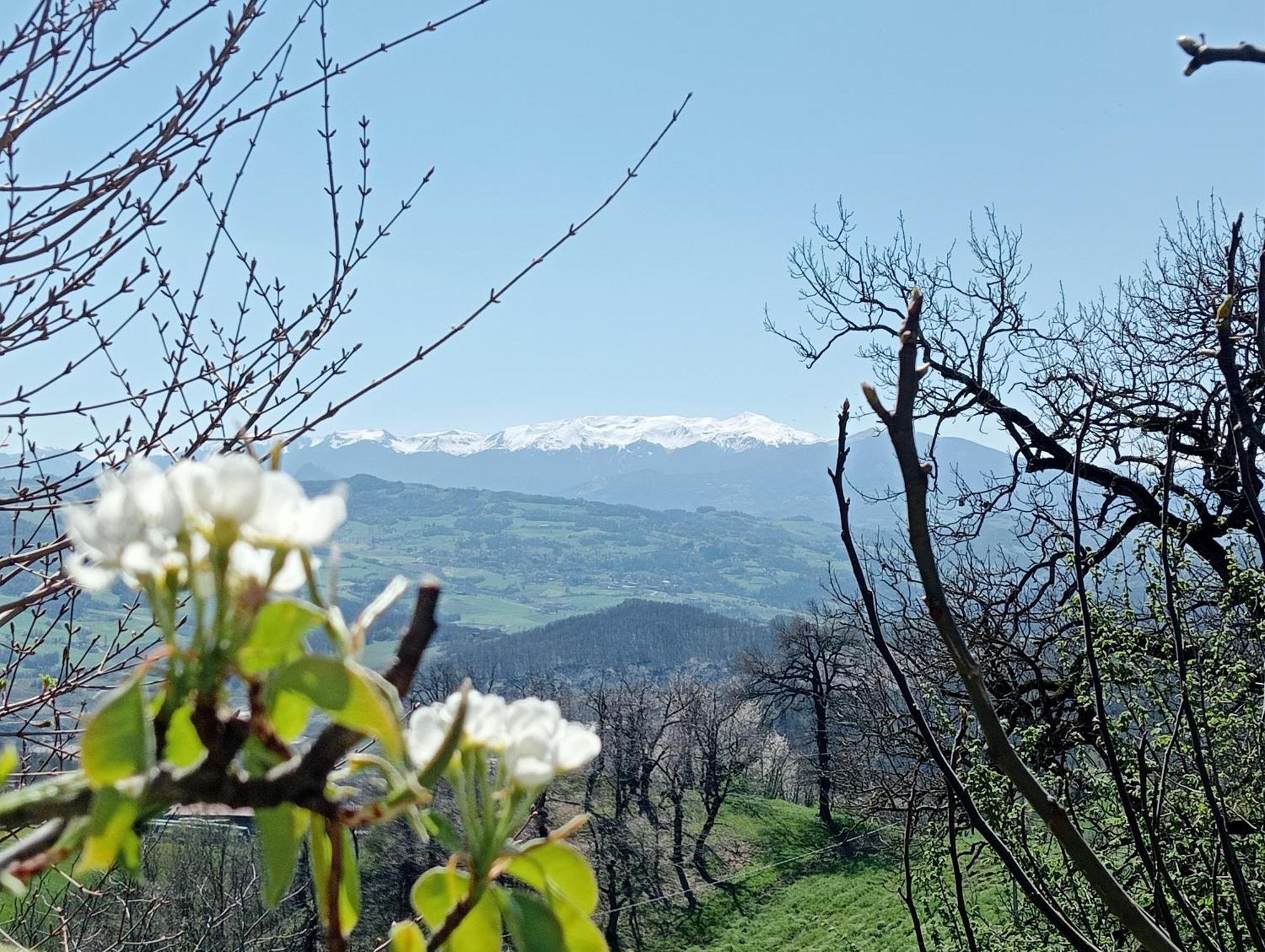 Bed and Breakfast Casale Monte Valestra Bebbio Exterior foto
